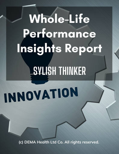 WLPI Report - Stylish Thinker